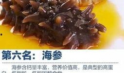 即食海参爆料视频下载安装,从爆料视频到安装体验全解析