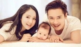 爱娱乐的吃瓜桦