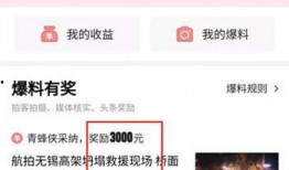 头条发视频怎么爆料的呢,如何巧妙爆料引发关注