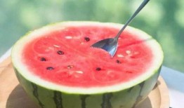 在线观看免费吃瓜