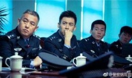 警察锅哥全集在线观看,正义与智慧的较量