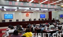 西藏热点爆料新闻,揭秘神秘高原的震撼事件