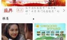 越南爆料博主视频播放大全,揭秘热点事件背后的真相