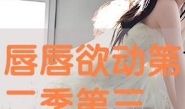 欲动 在线观看,一场激情燃烧的在线观看之旅