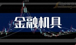 最新僚机爆料新闻报道内容,僚机爆料揭示重大新闻内幕