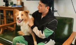 盾狗爆料视频,视频内容深度解析
