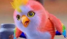 肉鸡背影爆料视频大全,揭秘幕后真相与感人瞬间