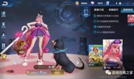 大乔花嫁皮肤爆料图视频,古典美韵，国风再现