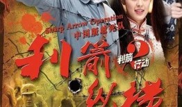 电视剧利箭纵横全集在线观看,揭秘抗战传奇，热血青春激荡烽火岁月