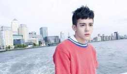 刘宪华爆料对象是谁呀视频