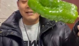 百万网红焕儿完整版吃瓜,一场惊心动魄的吃瓜盛宴