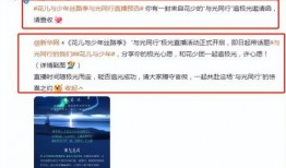 冰岛爆料最新视频播放下载,最新视频播放下载，揭秘神秘事件真相