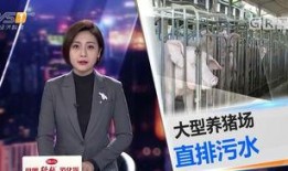 今日一线的爆料,揭秘娱乐圈惊人内幕