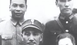 蒋纬国临终爆料视频,一段尘封的历史真相