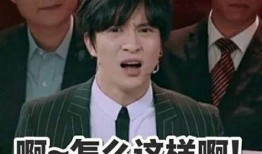 黄牛爆料薛之谦视频,幕后真相引热议