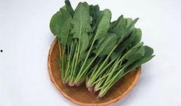 菠菜最新爆料图片,揭秘蔬菜界的“绿色明星”