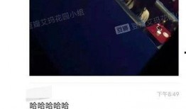 吃瓜跳舞网红公众号,网红们的欢乐时光