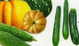 在线观看免费吃瓜