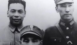 蒋纬国临终爆料视频,一段尘封的历史真相