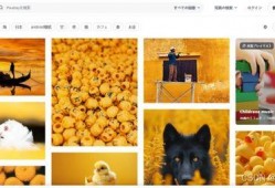 抖音爆料视频素材怎么找,揭秘热门话题背后的故事