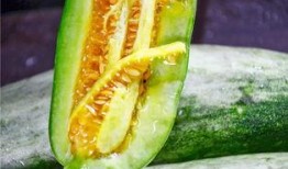 所有吃瓜网红是谁啊图片,全网热议的“吃瓜网红”阵容大起底