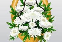 花篮网爆料最新网站下载,最新网站下载背后的秘密与趋势