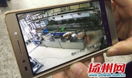 家长爆料食堂视频播放,食堂视频揭示惊人真相，食品安全引关注