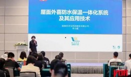 寻找卓宝最新爆料,揭秘幕后爆料，带你走进神秘世界