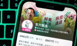 东方甄选黑粉爆料视频播放,揭秘幕后的真相与争议