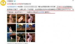 南瓜爆料演员介绍视频播放