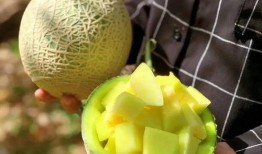 娱乐圈大瓜吃瓜,揭秘明星背后的惊人真相