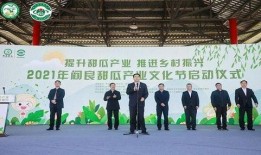 阎良新闻爆料视频,揭秘事件背后真相