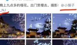 玄奘寺爆料者被网爆视频,视频泄露引发社会关注