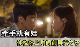 婚前贞在线观看,揭秘网络热剧背后的情感纠葛