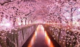 吃瓜QQ群号免费樱花岛,吃瓜QQ群号背后的免费樱花岛奇遇记