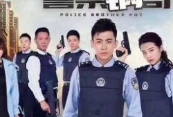 警察锅哥全集在线观看,正义与智慧的较量