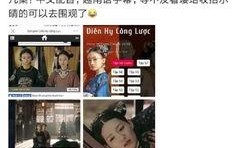 越南爆料博主视频播放大全,揭秘热点事件背后的真相