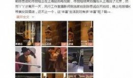 娱乐圈爆料出轨,出轨风波再起，真相究竟如何？