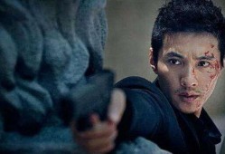 枫丹大叔爆料视频大全下载,揭秘幕后真相，带你领略精彩瞬间