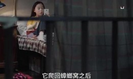 蛇姐最新爆料视频在线看