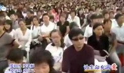 最新爆料集合视频大全,视频大全背后的惊人真相