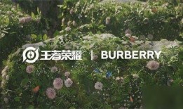 王者荣耀巴宝莉爆料视频,神秘面纱下的时尚战士