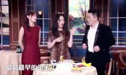 陈淑兰闺蜜爆料视频,视频曝光惊人真相！