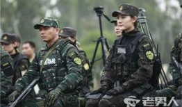 利刃出击全集在线观看,揭秘特警精英的惊险历程