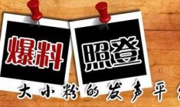 凤山新闻爆料,揭秘当地热点事件背后的真相