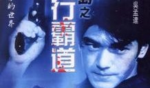 霸道影视在线观看,畅享海量影视资源，尽在指尖