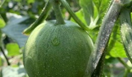 今天吃的娱乐圈的瓜,明星们的甜蜜与苦涩瞬间揭晓