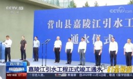 营山新闻网爆料电话,揭秘热线电话背后的故事