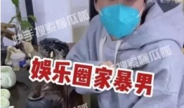 狗仔晚上爆料娱乐圈家暴,真相与反思