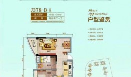 海南碧桂园爆料最新消息,揭秘项目进展与未来规划